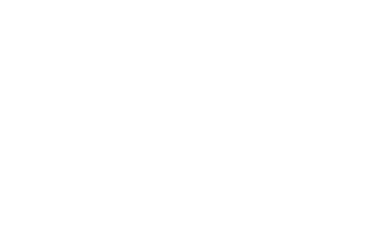 SimSnack Logo weiß